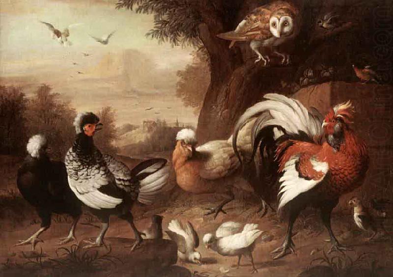 Fowls and Owl, Jakob Bogdani